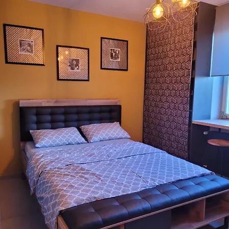 Piotrkowice Guest house *
